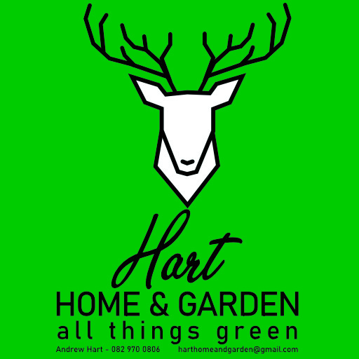 Hart
